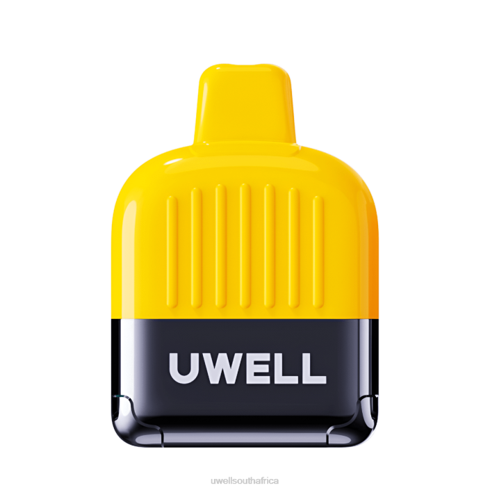 UWELL flavors - UWELL DN8000 DISPOSABLE VAPE Black Dragon Ice X842T309