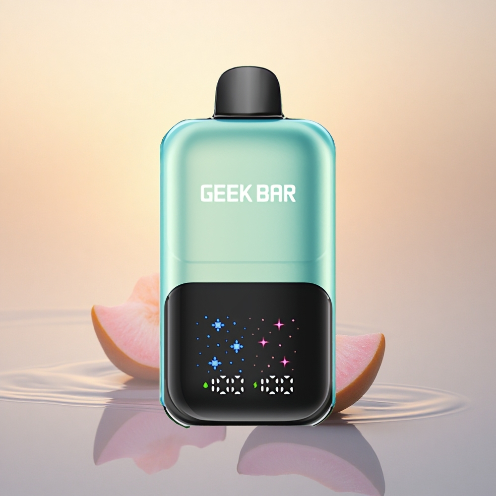 GEEK BAR 2GO 20ml 50000 Puffs Cool Mint Ice with Dual Tanks & Adjustable Coolness
